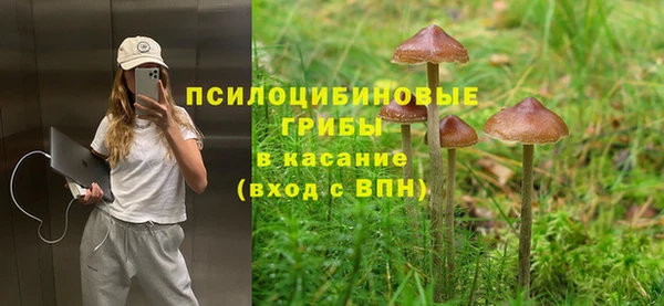 метамфетамин Алексеевка